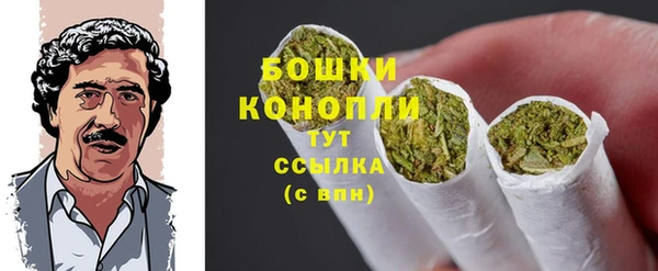 гашиш Богданович