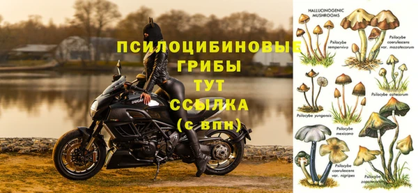 соль ск Богородицк
