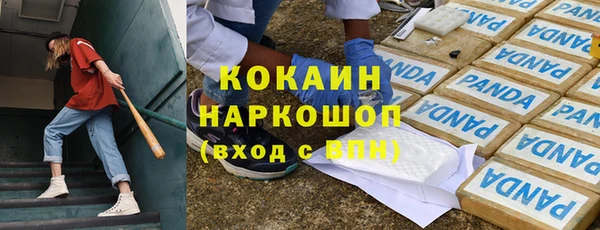 ГАЛЛЮЦИНОГЕННЫЕ ГРИБЫ Сясьстрой