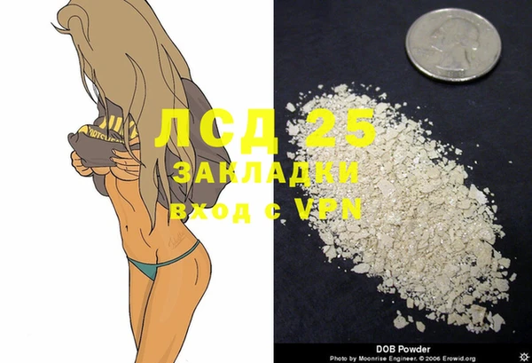 гидра Бронницы