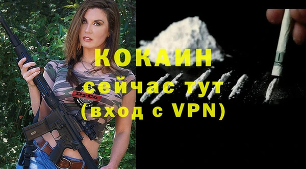 гидра Бронницы