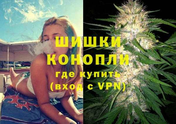 гидра Бронницы