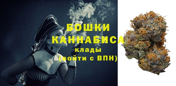 гидра Бронницы