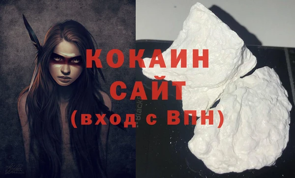гидра Бронницы